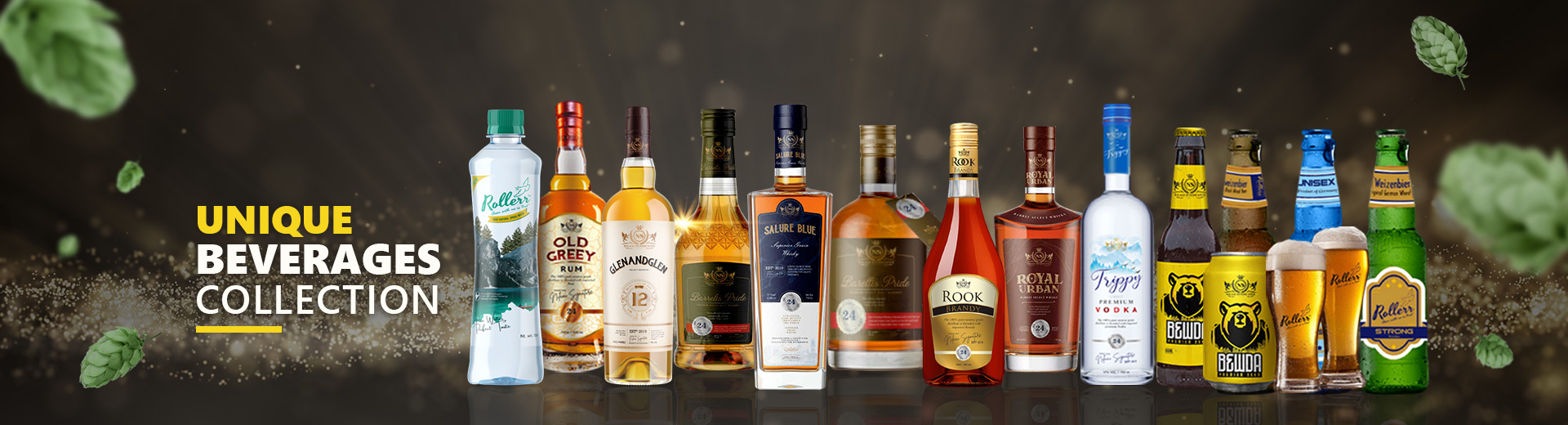 Our Business Overview